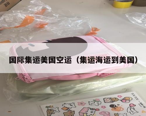 国际集运美国空运（集运海运到美国）