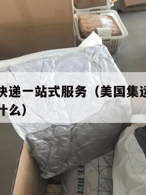 美国集运快递一站式服务(美国集运快递一站式服务是什么)