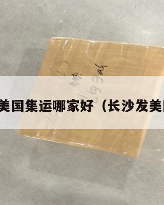 湖南到美国集运哪家好(长沙发美国快递)