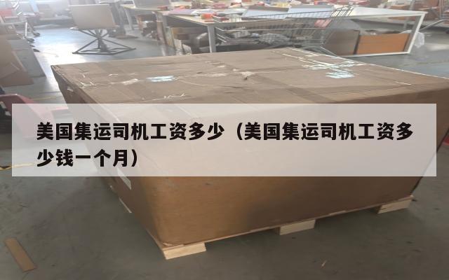 美国集运司机工资多少（美国集运司机工资多少钱一个月）