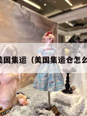 大件美国集运（美国集运仓怎么收费）