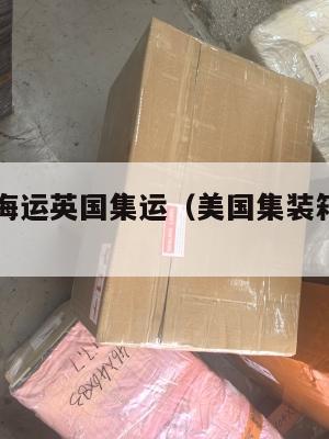 审判美国海运英国集运(美国集装箱海运公司)