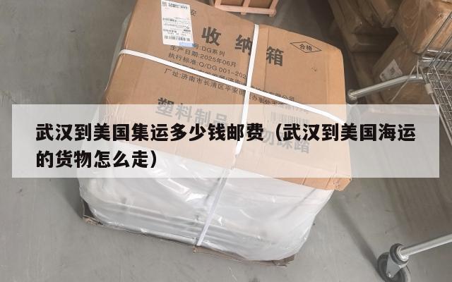 武汉到美国集运多少钱邮费(武汉到美国海运的货物怎么走)