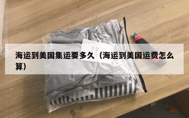 海运到美国集运要多久(海运到美国运费怎么算)