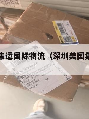 深圳美国集运国际物流(深圳美国集运国际物流公司)