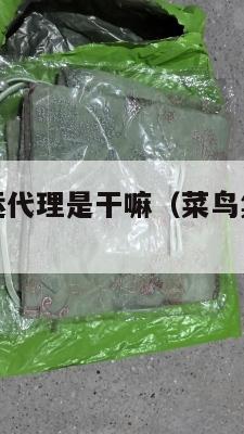 菜鸟美国集运代理是干嘛(菜鸟集运是什么意思)