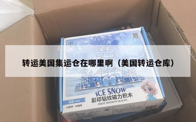 转运美国集运仓在哪里啊(美国转运仓库)