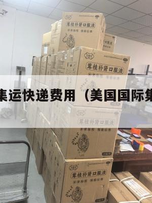 美国国际集运快递费用(美国国际集运快递费用标准)