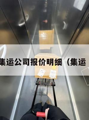 美国集运公司报价明细（集运 美国）