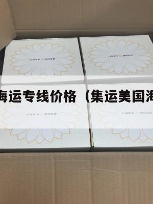 集运美国海运专线价格（集运美国海运专线价格查询）