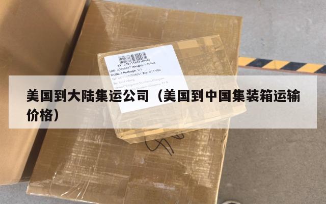 美国到大陆集运公司（美国到中国集装箱运输价格）