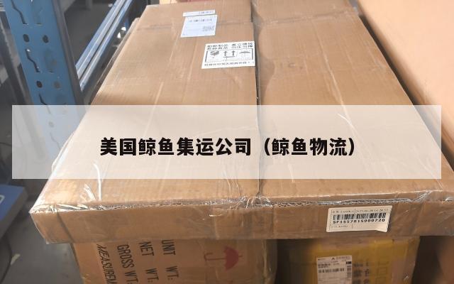 美国鲸鱼集运公司（鲸鱼物流）