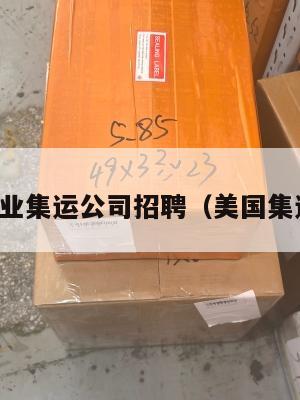 美国专业集运公司招聘（美国集运股票）