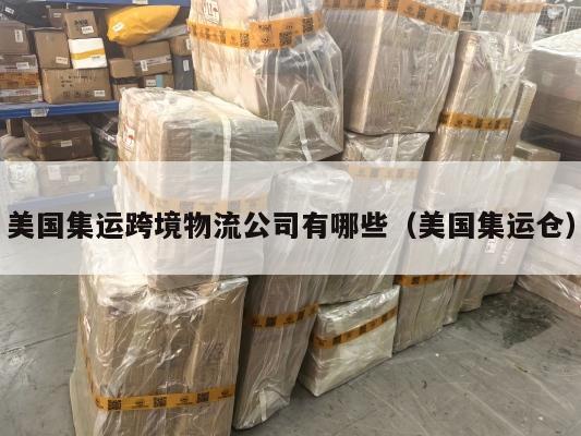 美国集运跨境物流公司有哪些（美国集运仓）
