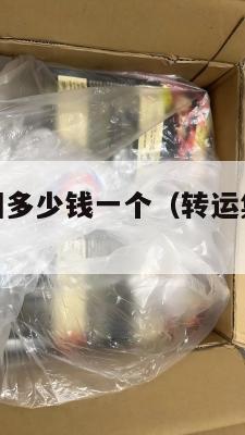 转运集运美国多少钱一个（转运集运美国多少钱一个小时）