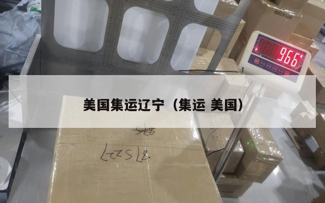 美国集运辽宁（集运 美国）