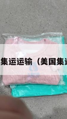 美国集运运输（美国集运仓）