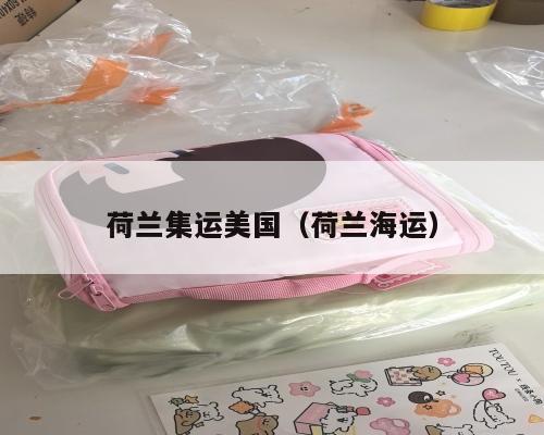 荷兰集运美国（荷兰海运）