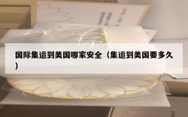 国际集运到美国哪家安全（集运到美国要多久）