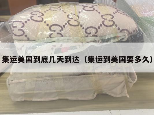 集运美国到底几天到达（集运到美国要多久）
