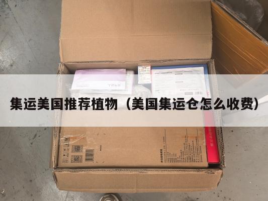 集运美国推荐植物（美国集运仓怎么收费）