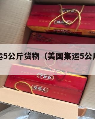 美国集运5公斤货物(美国集运5公斤货物价格)