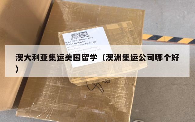 澳大利亚集运美国留学(澳洲集运公司哪个好)