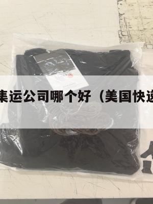 美国快递集运公司哪个好(美国快递公司巨头)