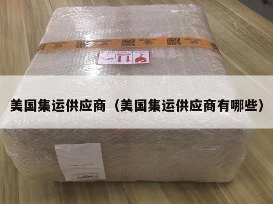 美国集运供应商(美国集运供应商有哪些)