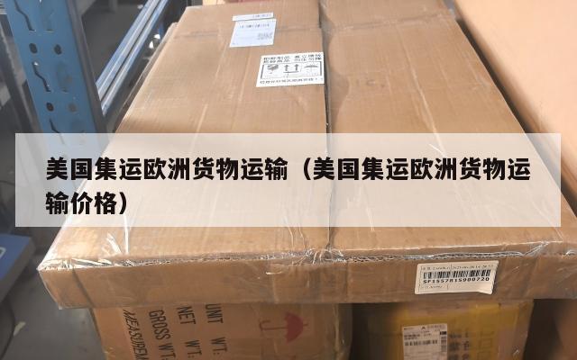 美国集运欧洲货物运输（美国集运欧洲货物运输价格）