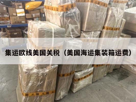集运欧线美国关税（美国海运集装箱运费）