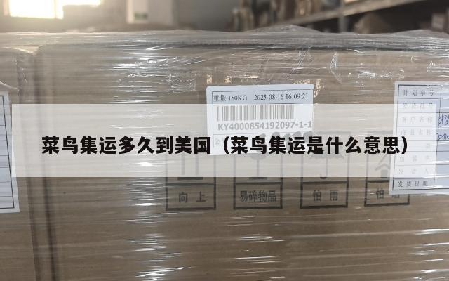 菜鸟集运多久到美国（菜鸟集运是什么意思）