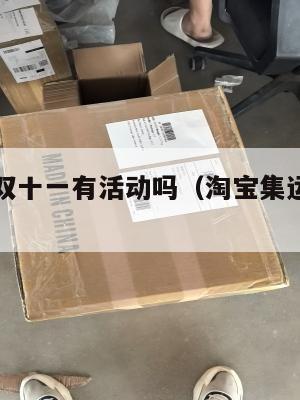 美国集运双十一有活动吗(淘宝集运收费明细美国)