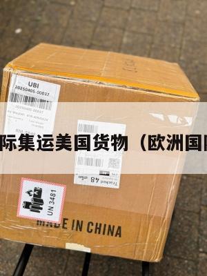 欧洲国际集运美国货物（欧洲国际物流）