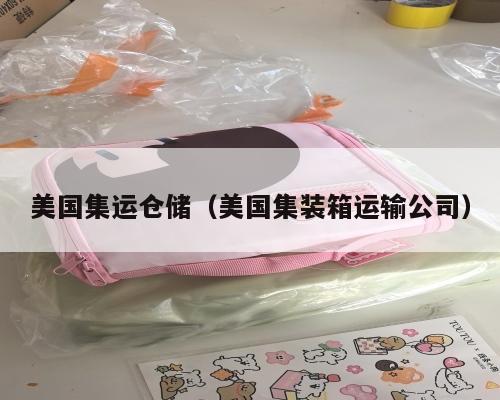 美国集运仓储（美国集装箱运输公司）