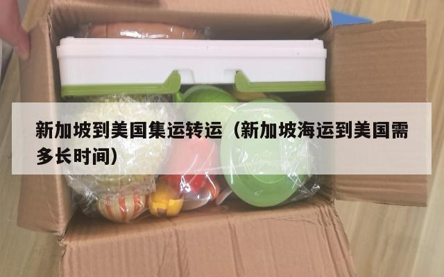 新加坡到美国集运转运（新加坡海运到美国需多长时间）