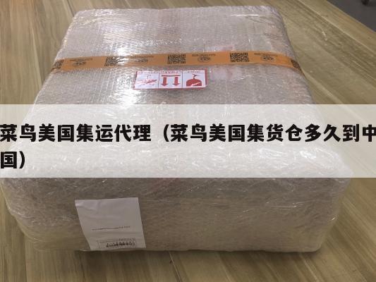 菜鸟美国集运代理（菜鸟美国集货仓多久到中国）