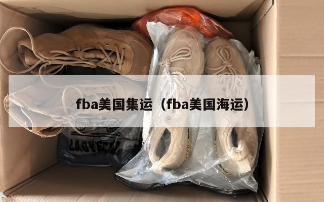 fba美国集运（fba美国海运）