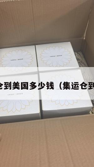 集运仓到美国多少钱（集运仓到英国）