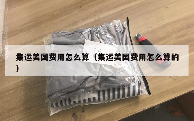 集运美国费用怎么算(集运美国费用怎么算的)