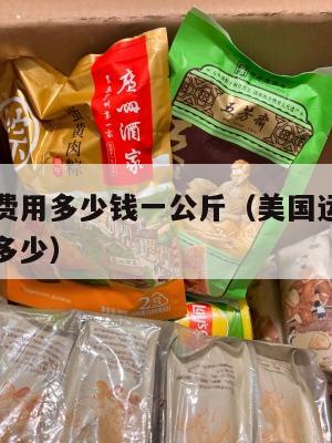 集运美国费用多少钱一公斤(美国运集装箱到中国价格多少)
