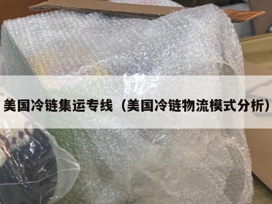 美国冷链集运专线（美国冷链物流模式分析）