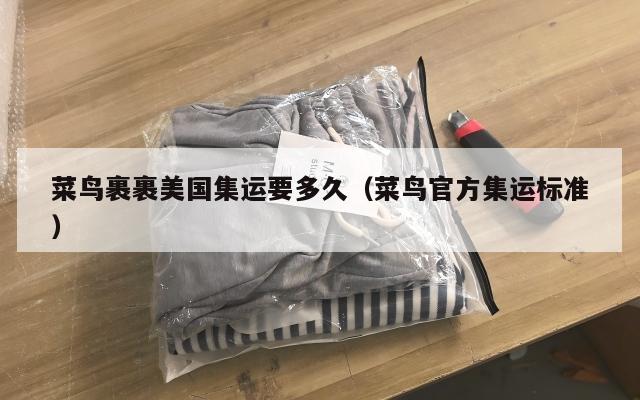 菜鸟裹裹美国集运要多久（菜鸟官方集运标准）