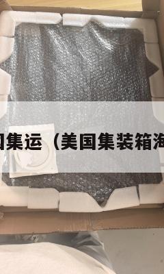 福建美国集运（美国集装箱海运公司）