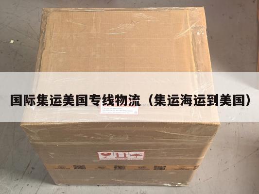 国际集运美国专线物流（集运海运到美国）