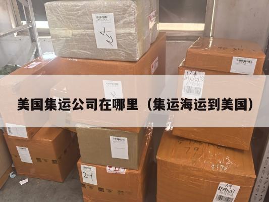 美国集运公司在哪里（集运海运到美国）