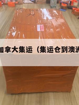 澳洲美国加拿大集运（集运仓到澳洲怎么收费）