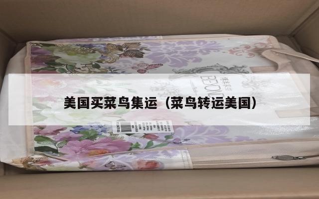 美国买菜鸟集运（菜鸟转运美国）