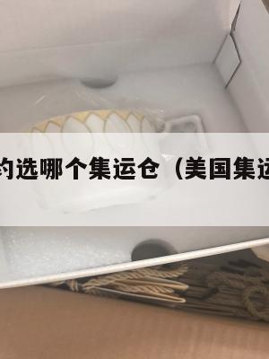 发美国纽约选哪个集运仓（美国集运仓地址在哪里）