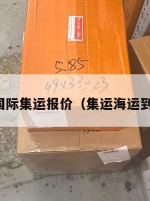 美国国际集运报价（集运海运到美国）